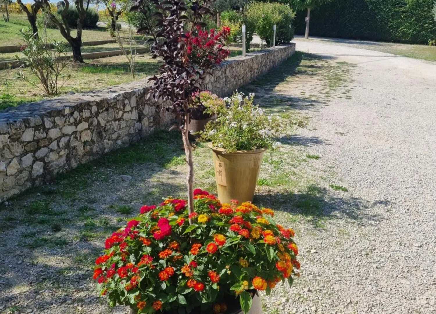 Gasthuis La Fanette Hotel Montbrison-sur-Lez